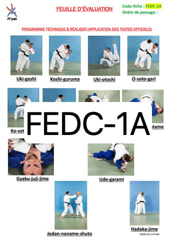 Programme ceinture marron judo sale